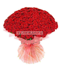 VIP букет из 201 красной розы