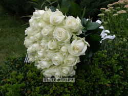 Букет из 35 белых роз «Нежные розы»