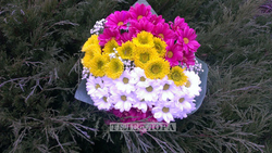Букет из 15 разноцветных хризантем