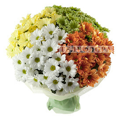 Букет цветов из 19 разноцветных хризантем 