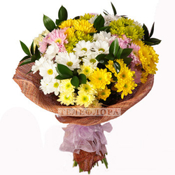 Букет цветов из 13 разноцветных хризантем