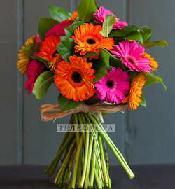 Букет цветов из 19 разноцветных гербер