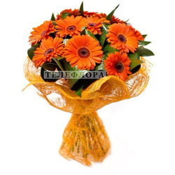 Букет цветов из 15 оранжевых гербер