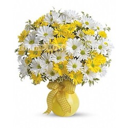 Букет из жёлтых и белых хризантем